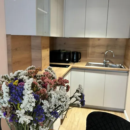 Wine Brkic Appartement